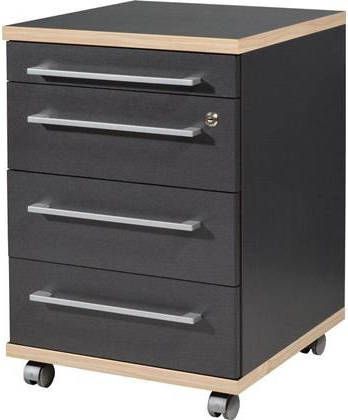 GERMANIA Kastje op wieltjes GW Duo gemakkelijk te onderhouden oppervlak