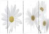 VidaXL Kamerscherm inklapbaar bloem 217x170 cm online kopen