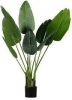 Woood Strelitzia Kunstplant Groen 108 cm online kopen